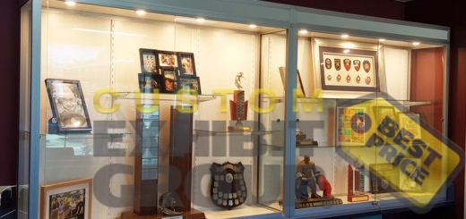 ll Mounted Display Showcases